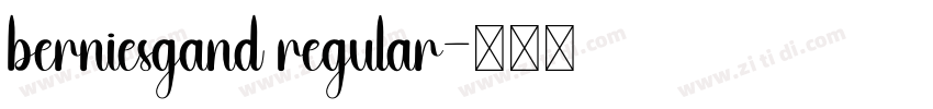 berniesgand regular字体转换